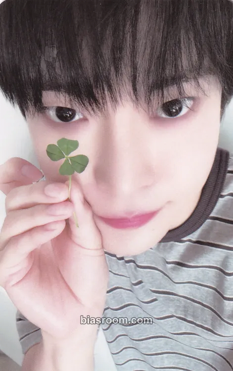 Doyoung Soar Photocard - NCT - NCT K-pop photocard