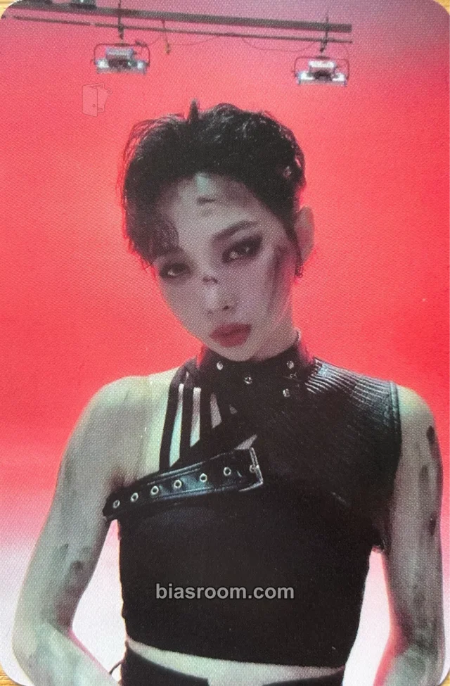 Yechan PinkFantasy Alice In Wonderland K-pop photocard