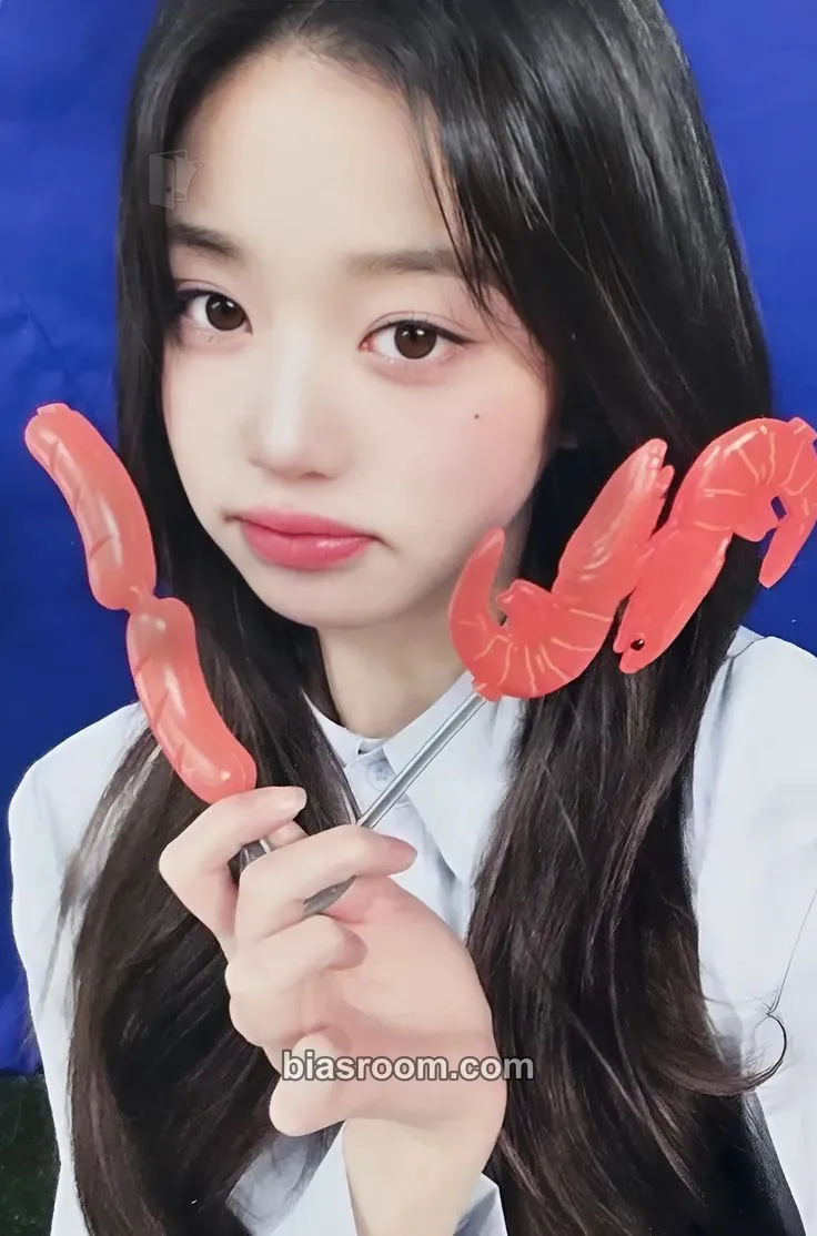 Wonyoung IVE SCOUT: 3rd Fan Concert Photocard - IVE - IVE K-pop photocard