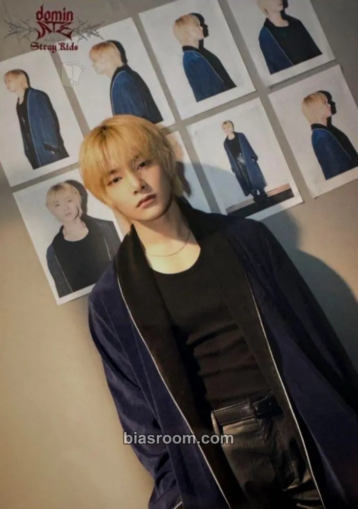 I.N DominATE World Tour Photocard - Stray Kids - Stray Kids K-pop photocard