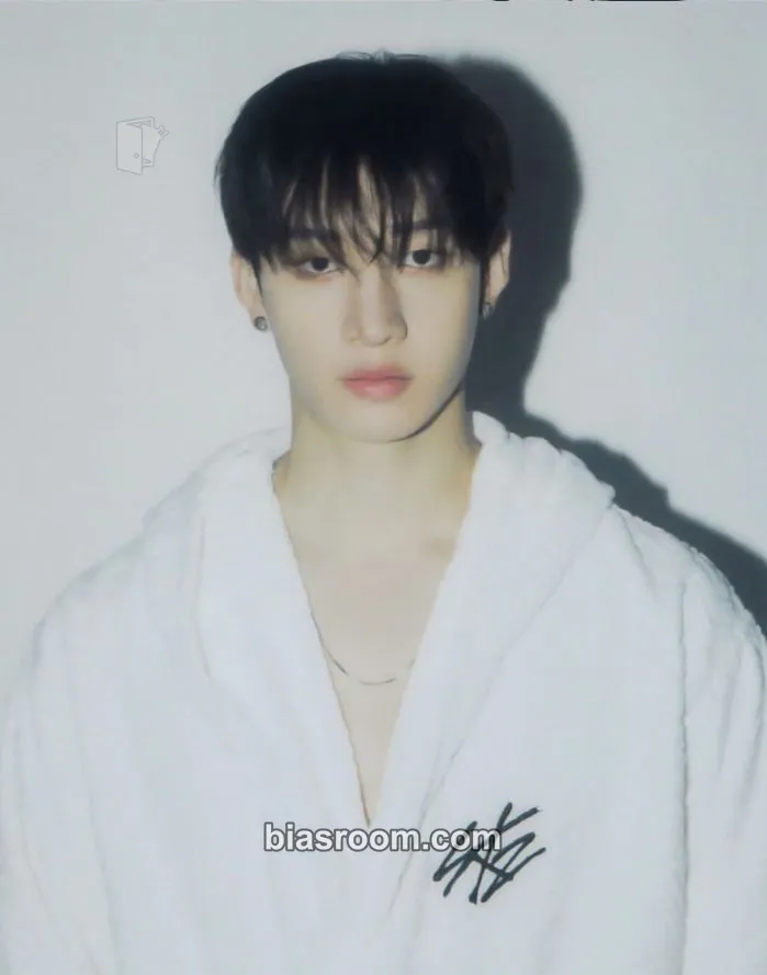 Bang Chan DominATE World Tour Photocard - Stray Kids - Stray Kids K-pop photocard