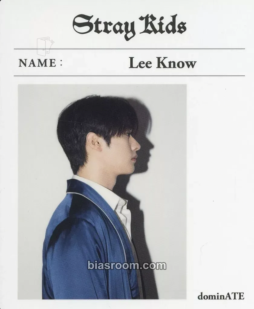 Lee Know DominATE World Tour Photocard - Stray Kids - Stray Kids K-pop photocard