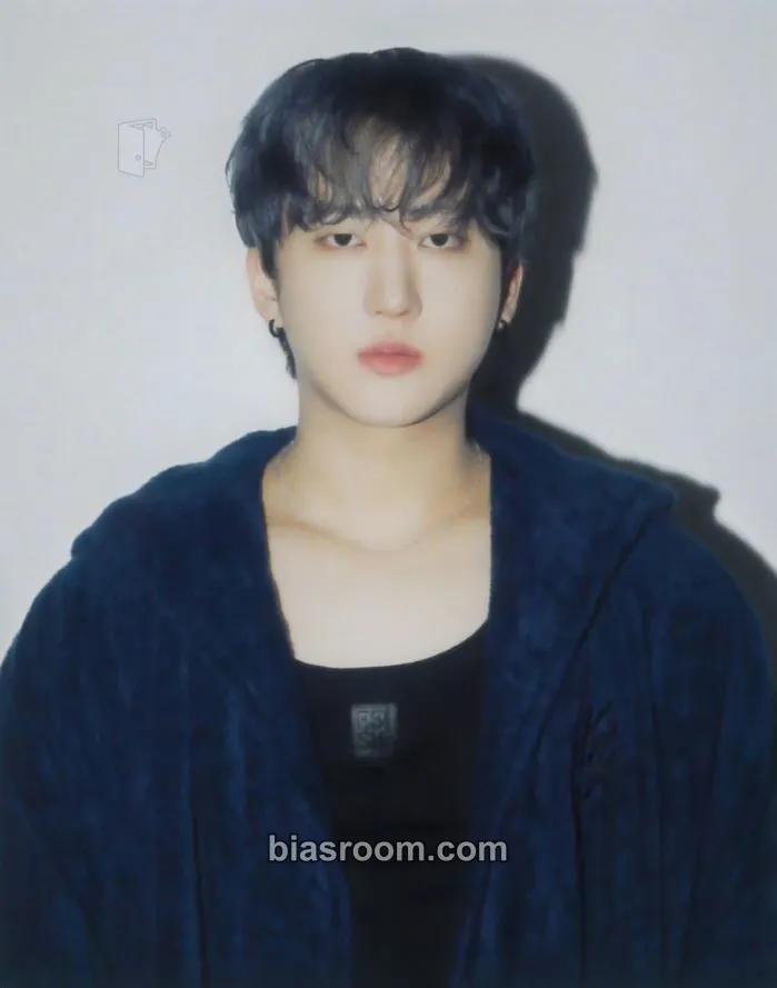 Changbin DominATE World Tour Photocard - Stray Kids - Stray Kids K-pop photocard
