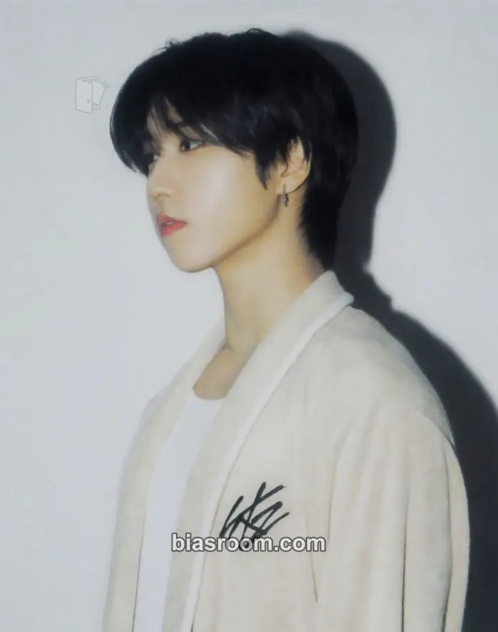 HAN DominATE World Tour Photocard - Stray Kids - Stray Kids K-pop photocard