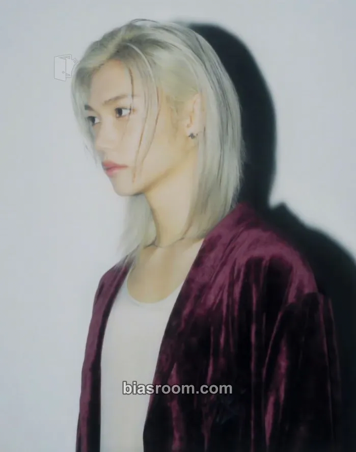 Felix DominATE World Tour Photocard - Stray Kids - Stray Kids K-pop photocard