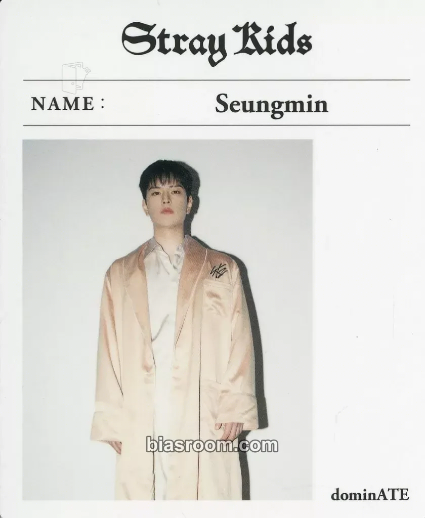 Seungmin DominATE World Tour Photocard - Stray Kids - Stray Kids K-pop photocard