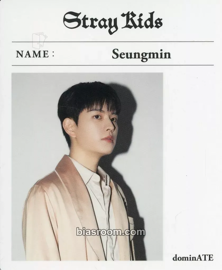 Seungmin DominATE World Tour Photocard - Stray Kids - Stray Kids K-pop photocard