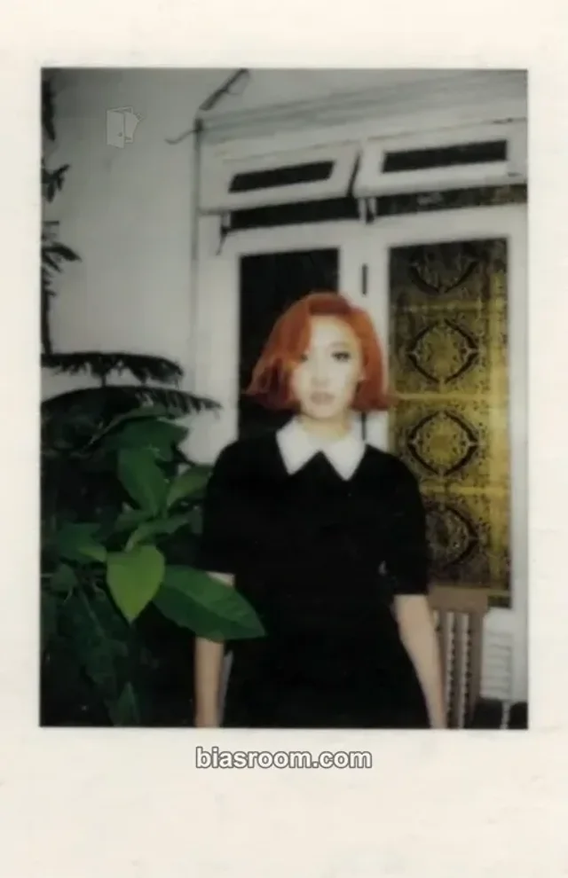 MAMAMOO - Hwasa - Melting Album kihno version polaroid set