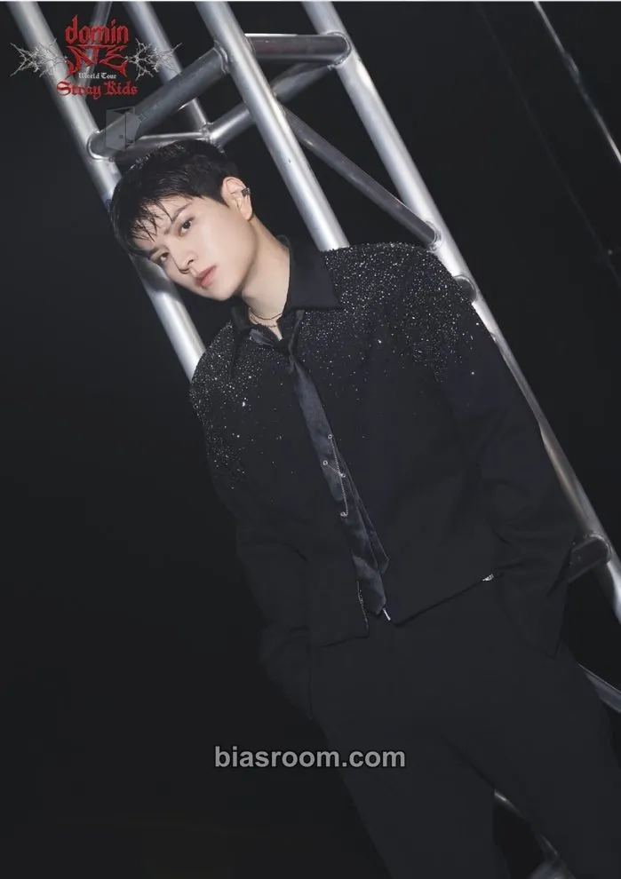 Seungmin DominATE World Tour Photocard - Stray Kids - Stray Kids K-pop photocard