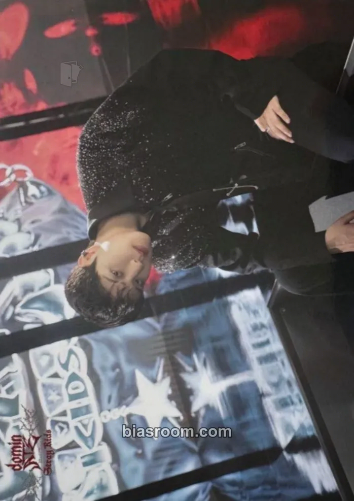 Seungmin DominATE World Tour Photocard - Stray Kids - Stray Kids K-pop photocard