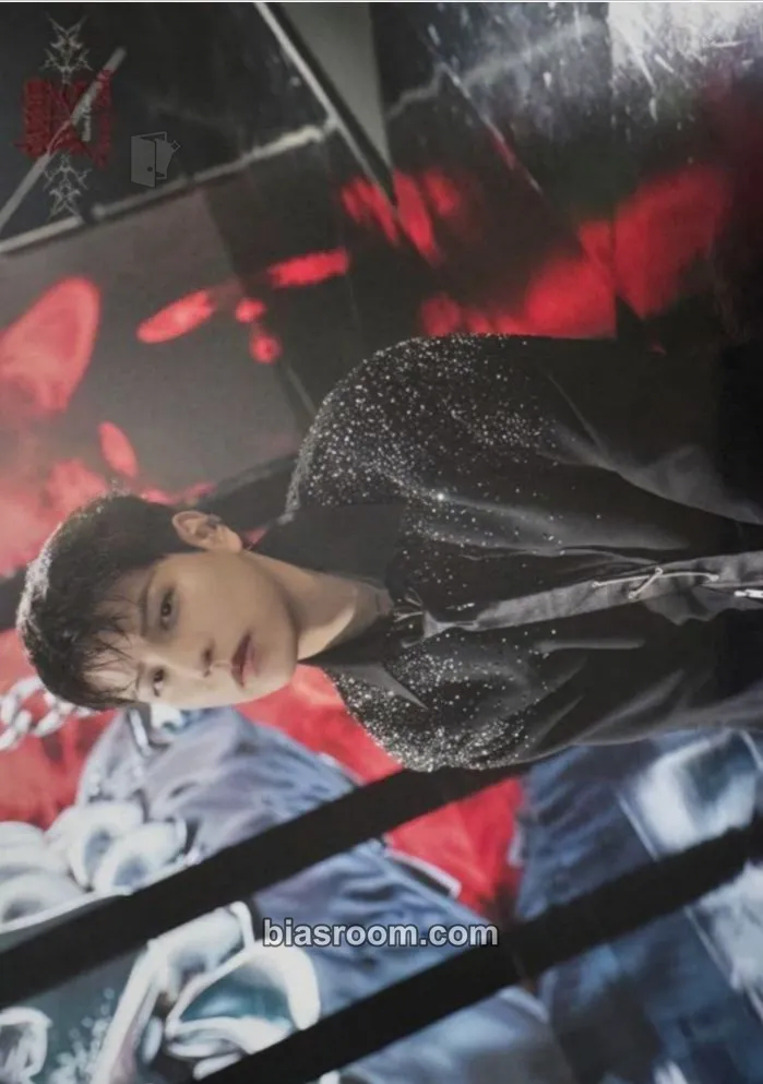Seungmin DominATE World Tour Photocard - Stray Kids - Stray Kids K-pop photocard