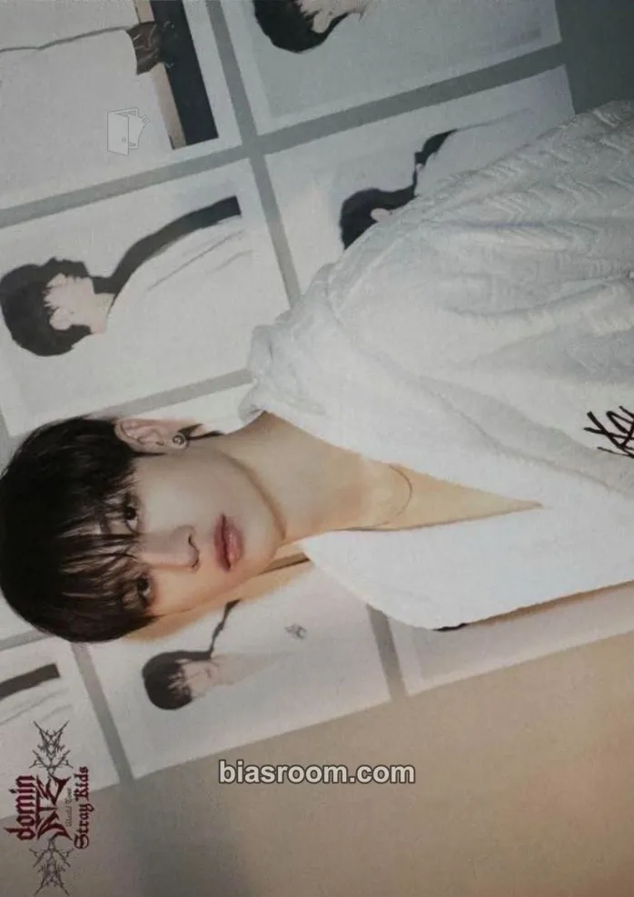 Bang Chan DominATE World Tour Photocard - Stray Kids - Stray Kids K-pop photocard