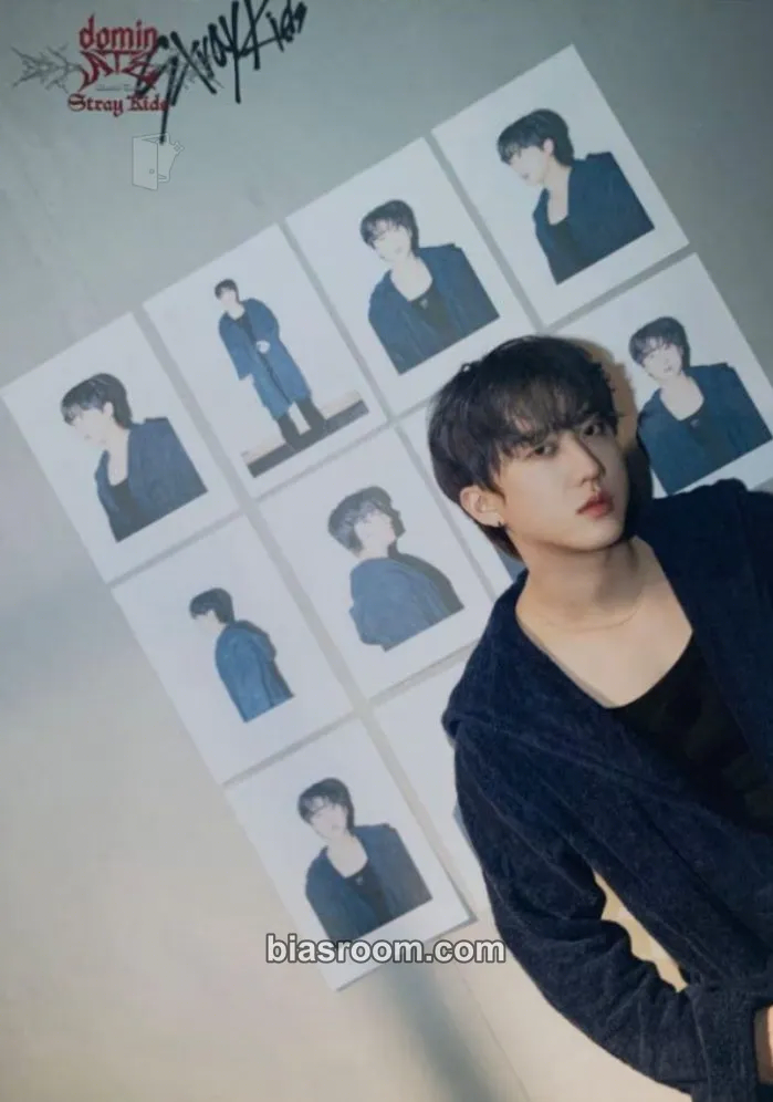 Changbin DominATE World Tour Photocard - Stray Kids - Stray Kids K-pop photocard