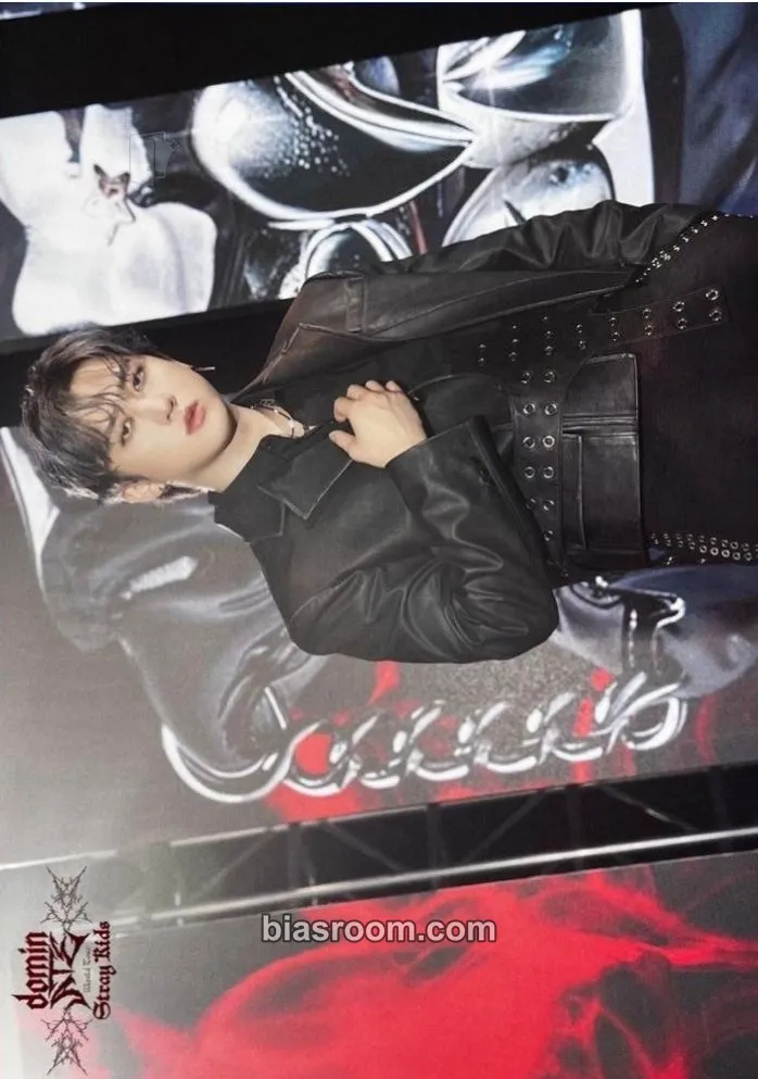 Changbin DominATE World Tour Photocard - Stray Kids - Stray Kids K-pop photocard