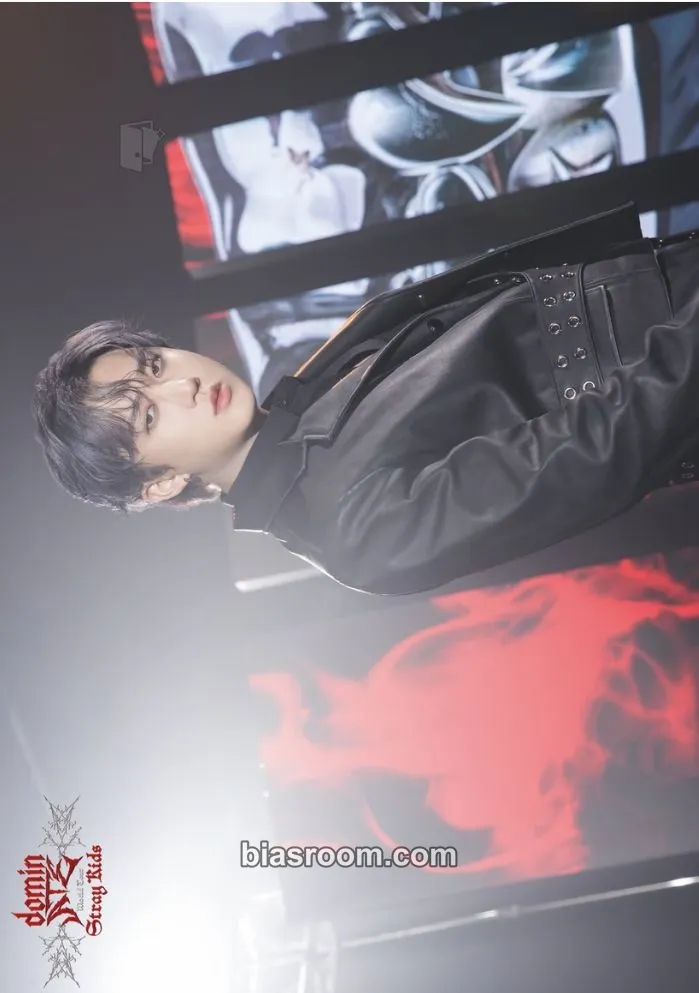 Changbin DominATE World Tour Photocard - Stray Kids - Stray Kids K-pop photocard