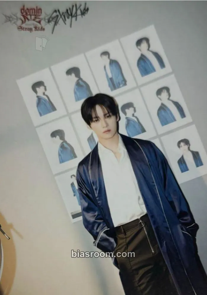 Lee Know DominATE World Tour Photocard - Stray Kids - Stray Kids K-pop photocard