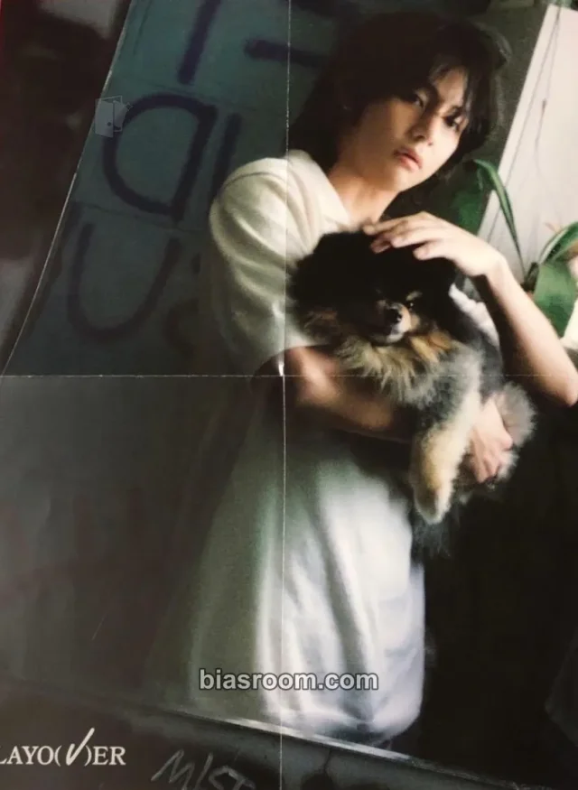 V BTS Layover K-pop photocard