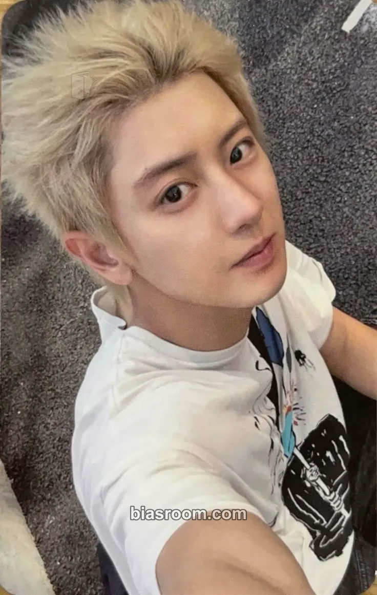 Chanyeol Black Out Photocard - EXO - EXO K-pop photocard