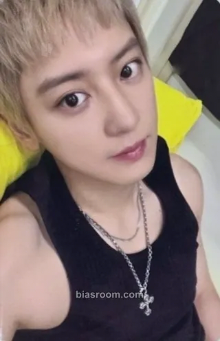 Chanyeol Black Out Photocard - EXO - EXO K-pop photocard