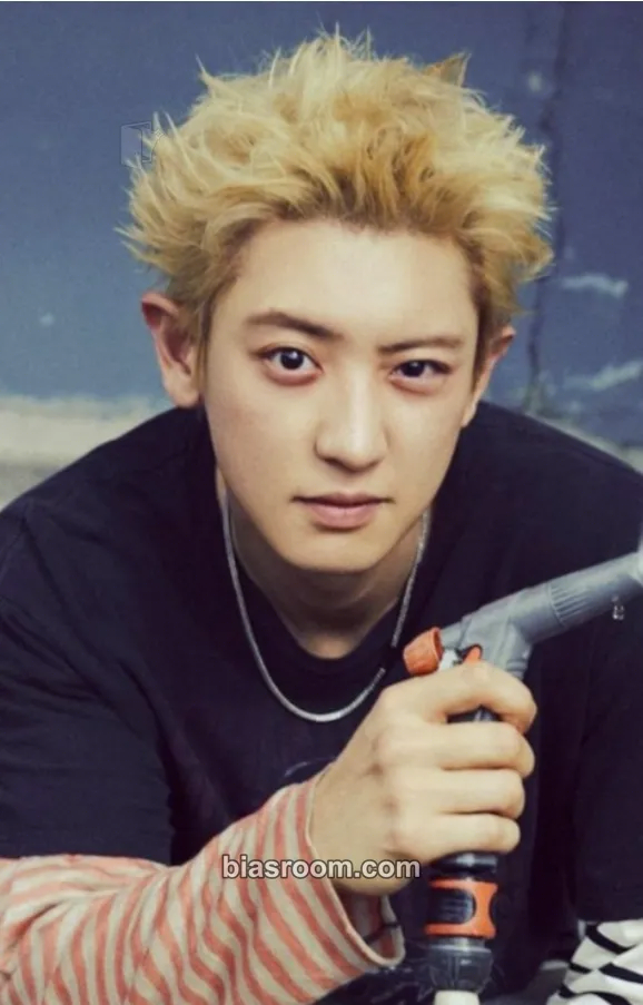 Chanyeol Black Out Photocard - EXO - EXO K-pop photocard