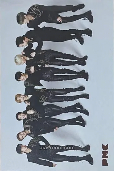 Pia Music Complex (PMC) Magazine Photocard - Stray Kids - Stray Kids K-pop photocard