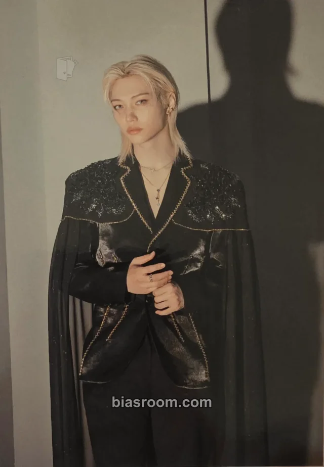 Stray Kids - Felix - 2026 Season's Greetings - Force Other hmv pob (pre-order benefit) postcard