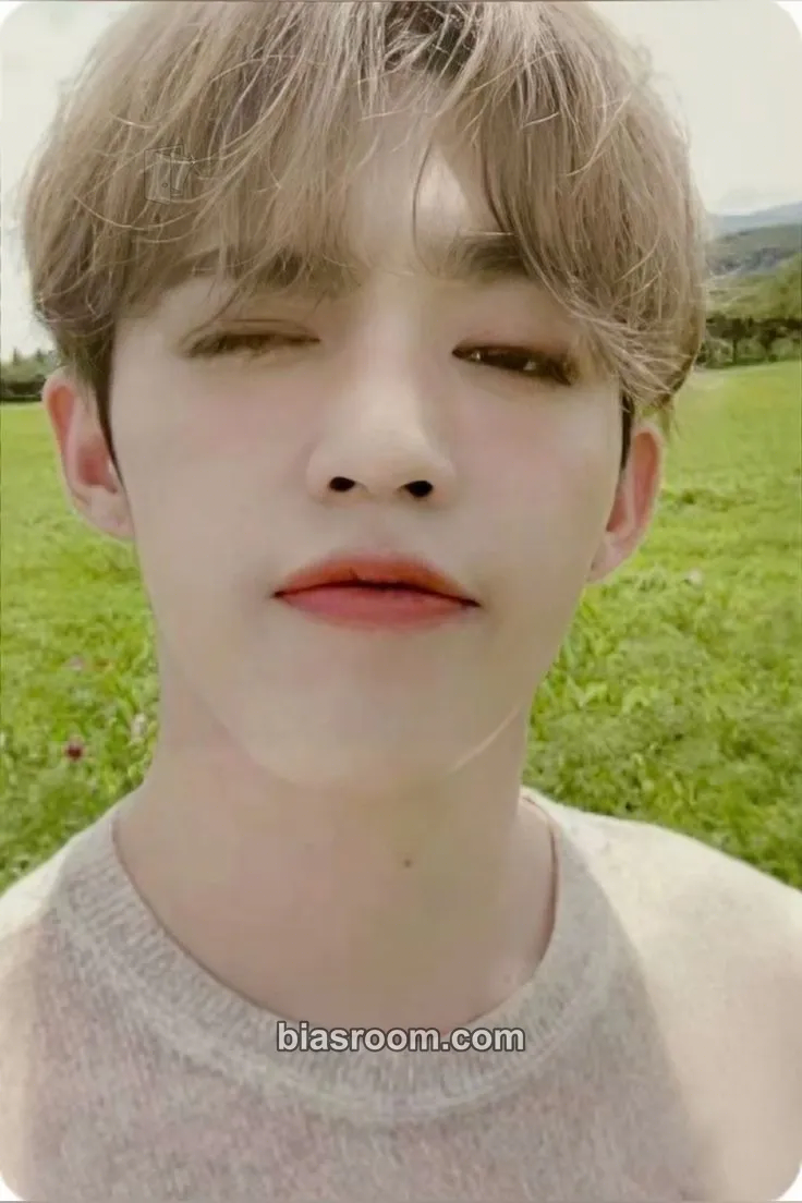 S.Coups An Ode Photocard - SEVENTEEN - SEVENTEEN K-pop photocard