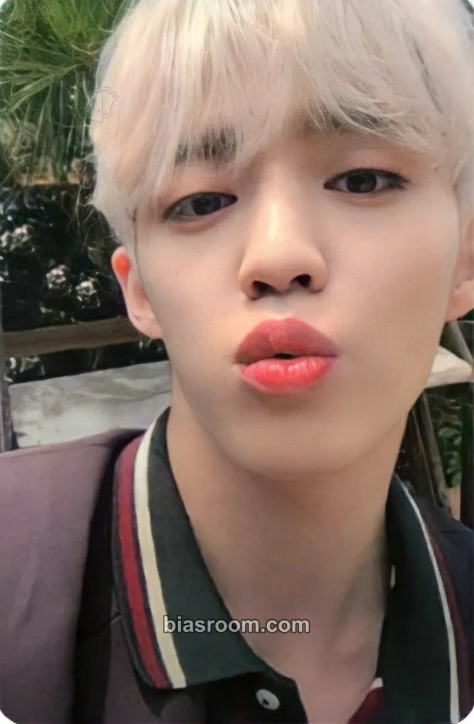 S.Coups An Ode Photocard - SEVENTEEN - SEVENTEEN K-pop photocard