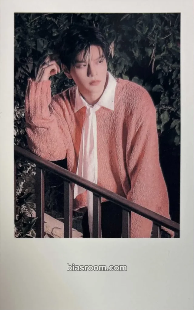 Stray Kids - Seungmin - Do It Album album photocard evil skzoo speaker version polaroid