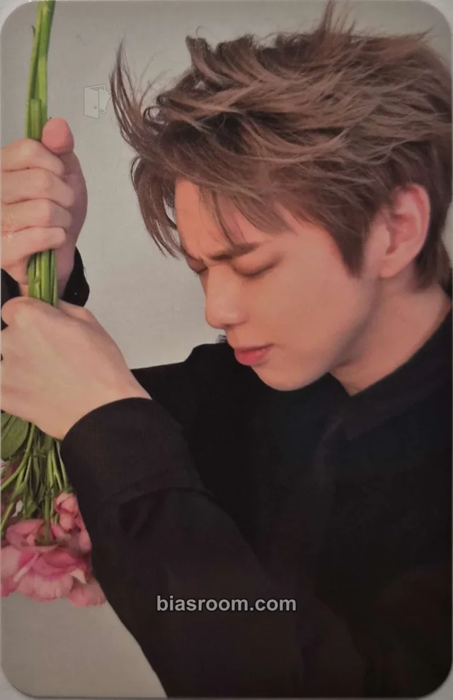 KANGDANIEL - Daniel - Glow to Haze Album album photocard picture dairy version