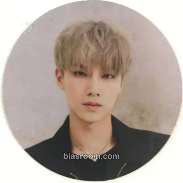 WayV - Xiaojun - Take Over The Moon Album circle card album inclusion