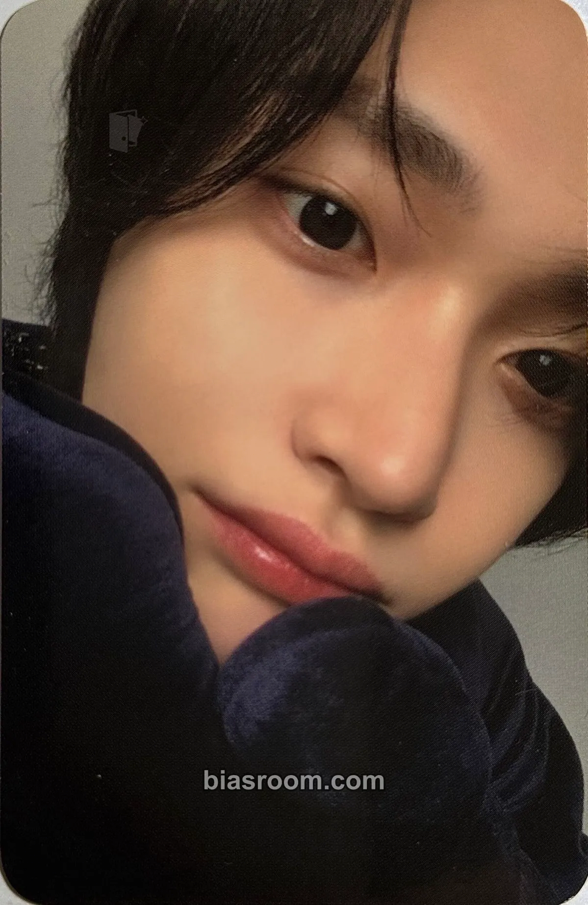 Wonbin We Little RIIZE @ RIIZE Park Photocard - RIIZE - RIIZE K-pop photocard