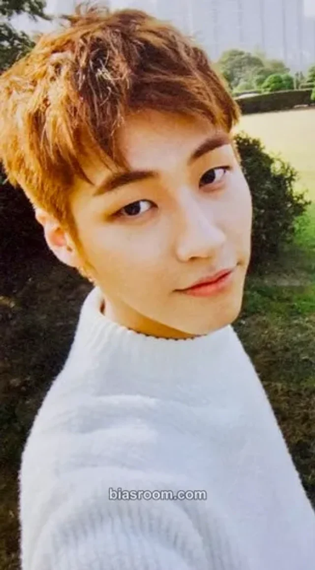 Seunghyub N.Flying Lonely K-pop photocard