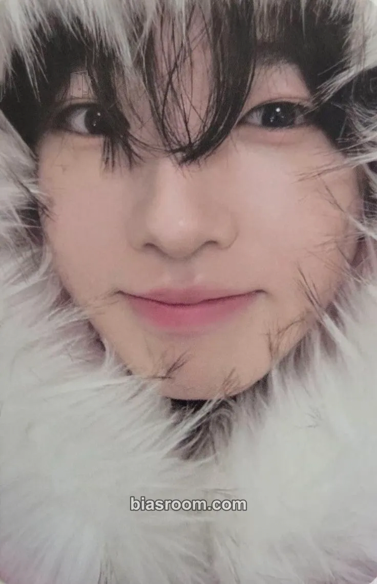 Sakuya COLOR Photocard - NCT WISH - NCT WISH K-pop photocard
