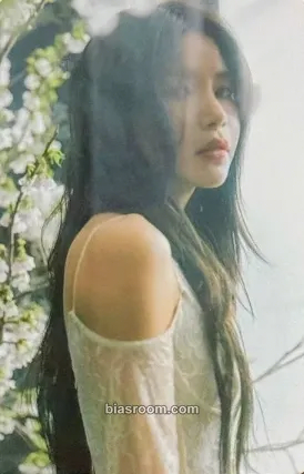 Solar COLOURS Photocard - MAMAMOO - MAMAMOO K-pop photocard