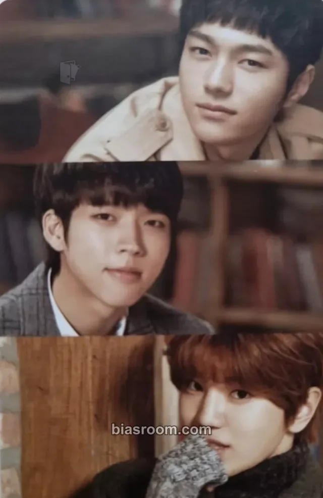 INFINITE - L / Myungsoo & Woohyun & Sungjong - 2015 Season's Greetings Other