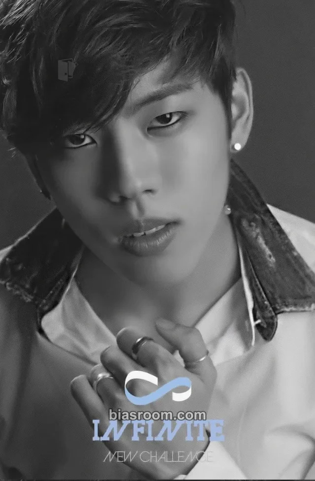 INFINITE - Dongwoo - New Challenge Album album photocard non-standard size