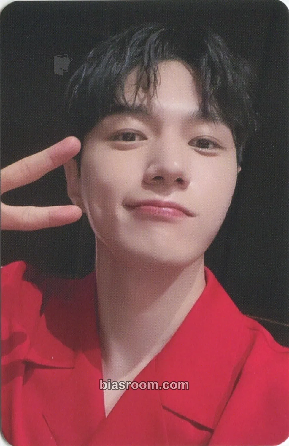 L / Myungsoo 13egin Photocard - INFINITE - INFINITE K-pop photocard