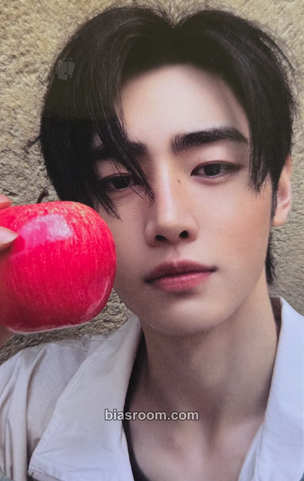 Sunghoon THE SIN: VANISH Photocard - ENHYPEN - ENHYPEN K-pop photocard