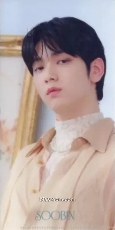 Soobin Tomorrow X Together Museum Photocard - TOMORROW X TOGETHER - TOMORROW X TOGETHER K-pop photocard