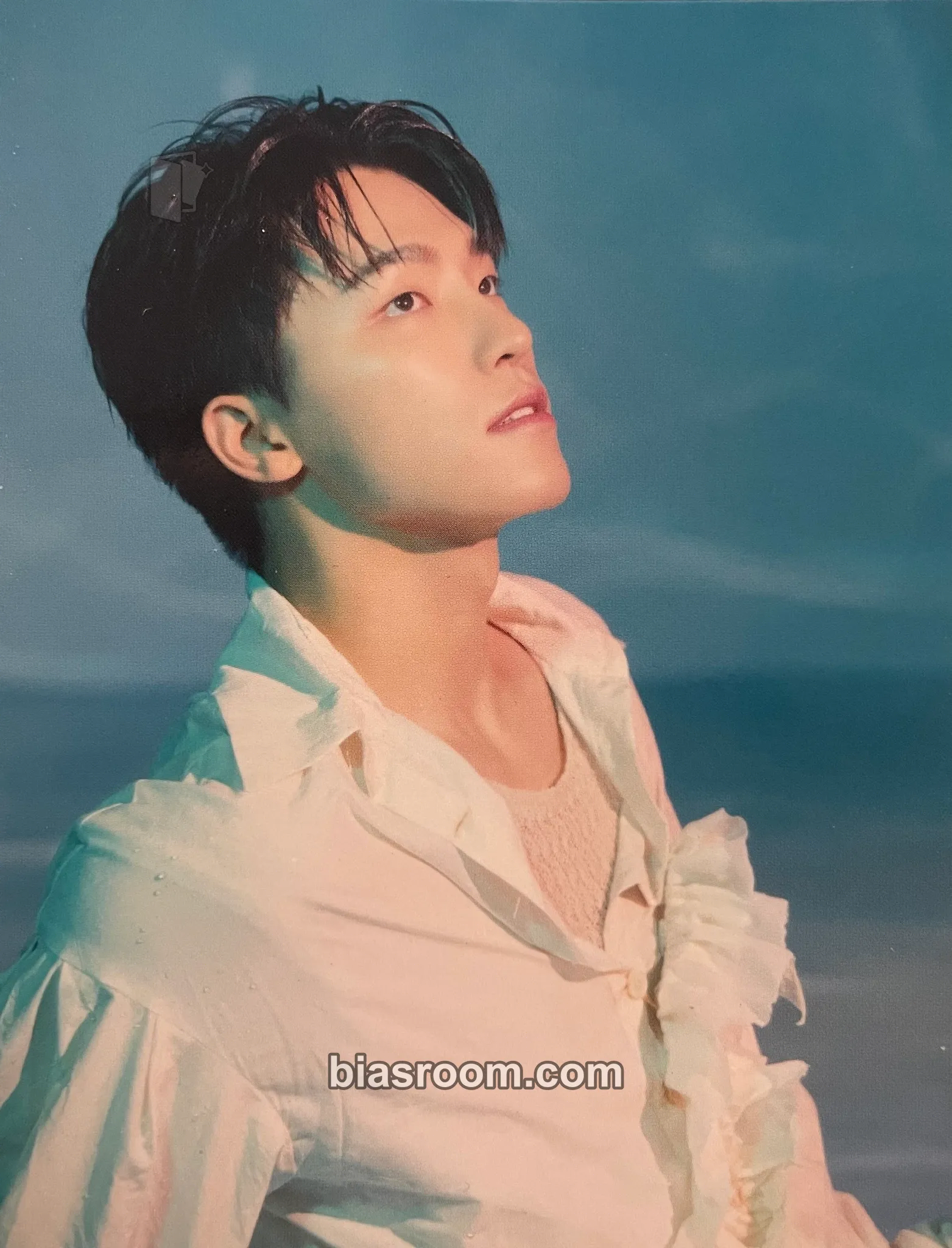 Dino Spill the Feels Photocard - SEVENTEEN - SEVENTEEN K-pop photocard