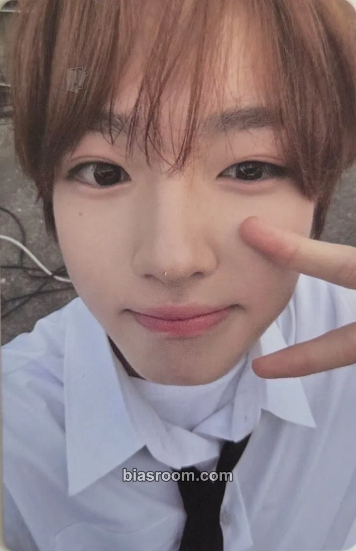 Sakuya COLOR Photocard - NCT WISH - NCT WISH K-pop photocard
