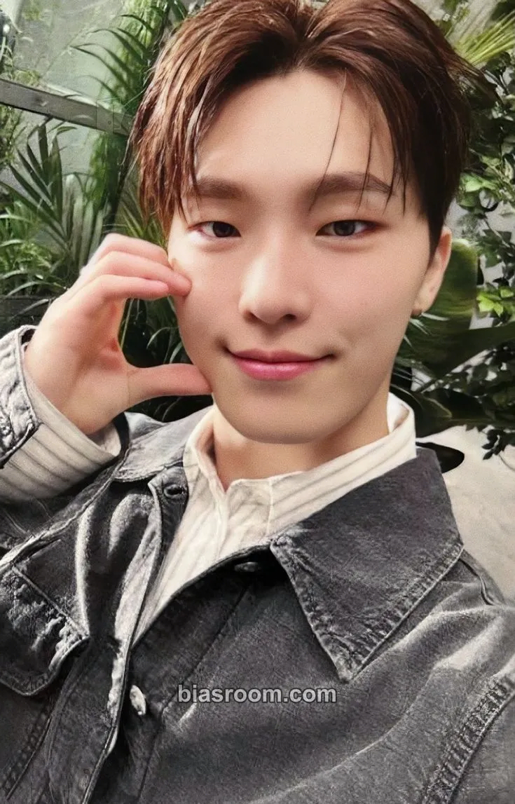 Dino Shohikigen Photocard - SEVENTEEN - SEVENTEEN K-pop photocard