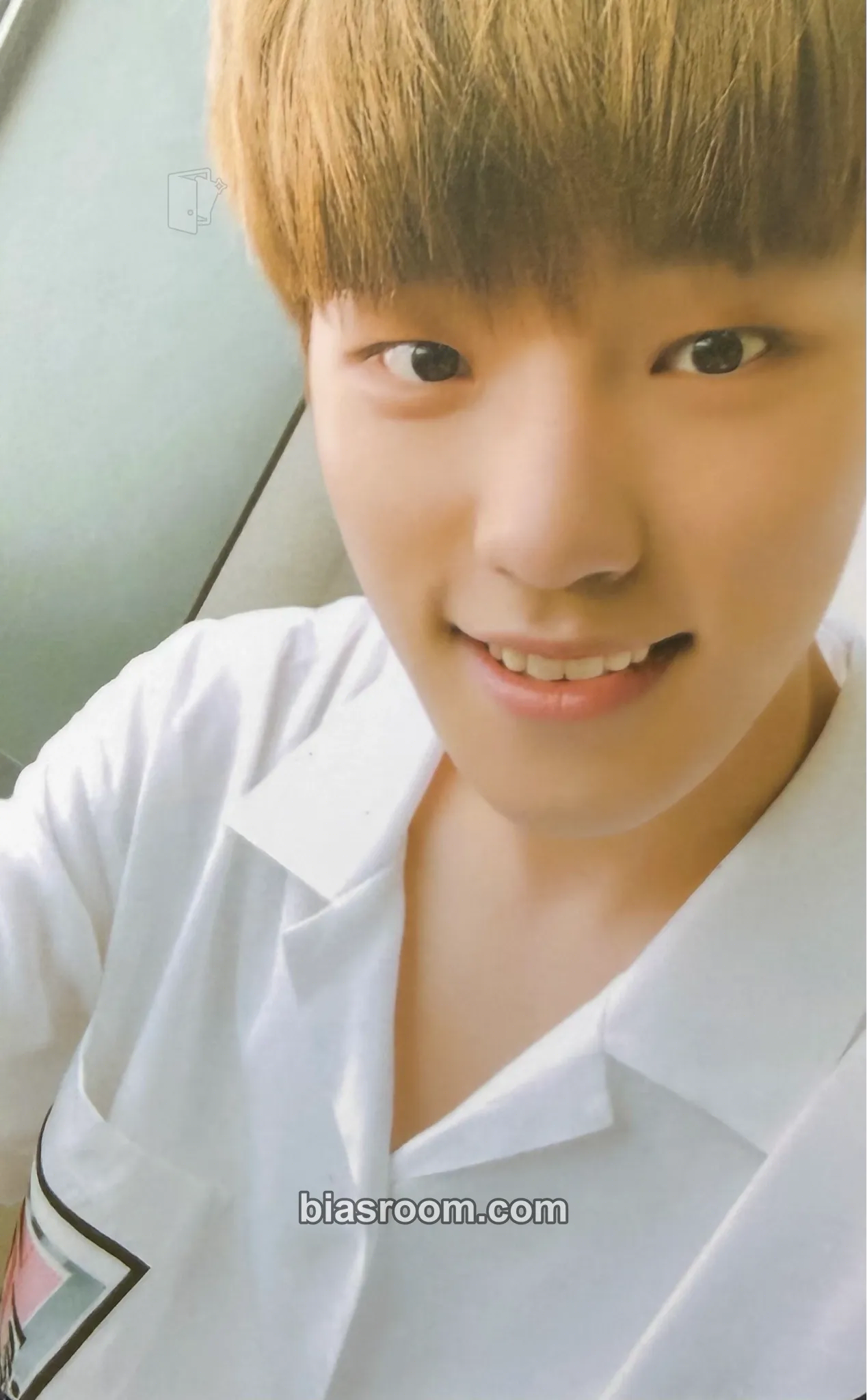 Dino You Make My Day Photocard - SEVENTEEN - SEVENTEEN K-pop photocard