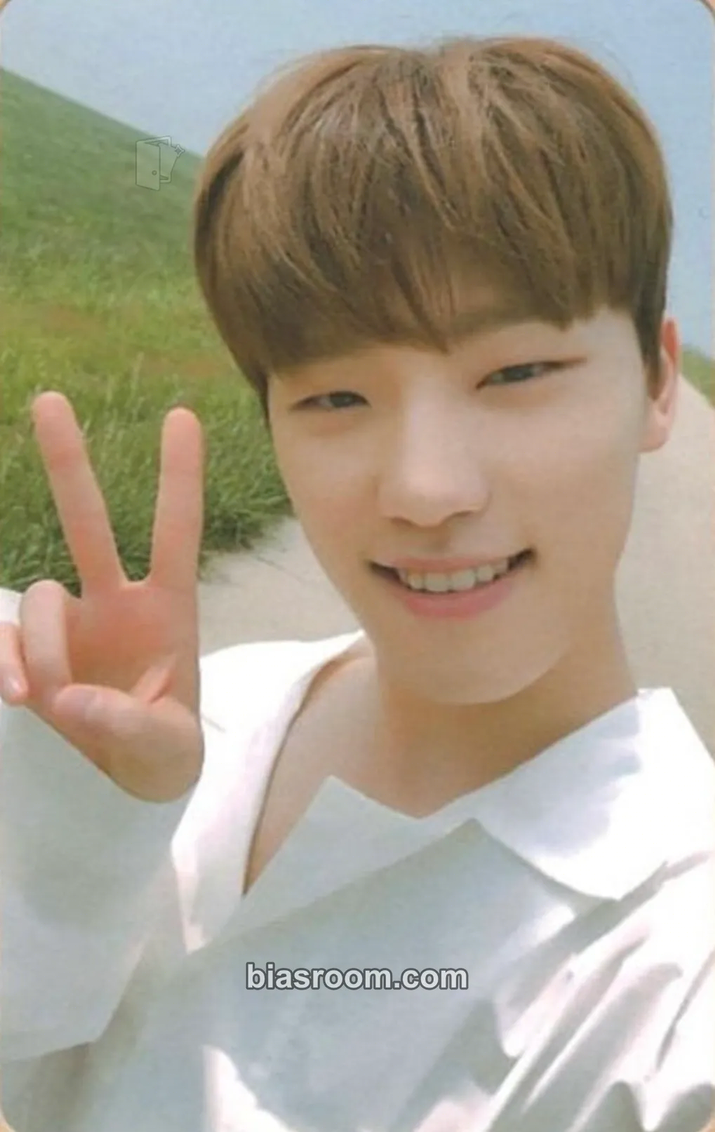 Dino You Make My Day Photocard - SEVENTEEN - SEVENTEEN K-pop photocard