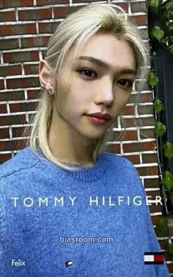 Felix Tommy Hilfiger x Stray Kids Photocard - Stray Kids - Stray Kids K-pop photocard