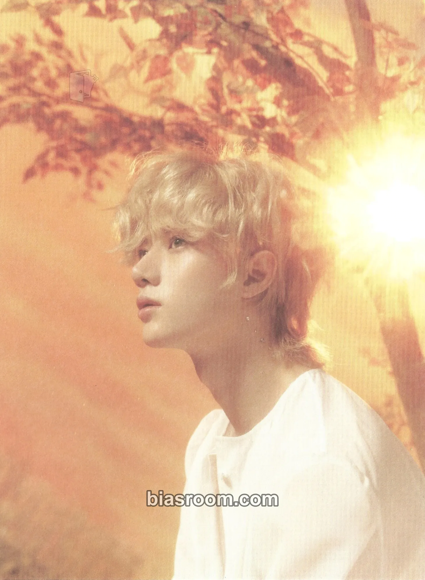 Beomgyu Minisode 3: Tomorrow Photocard - TOMORROW X TOGETHER - TOMORROW X TOGETHER K-pop photocard