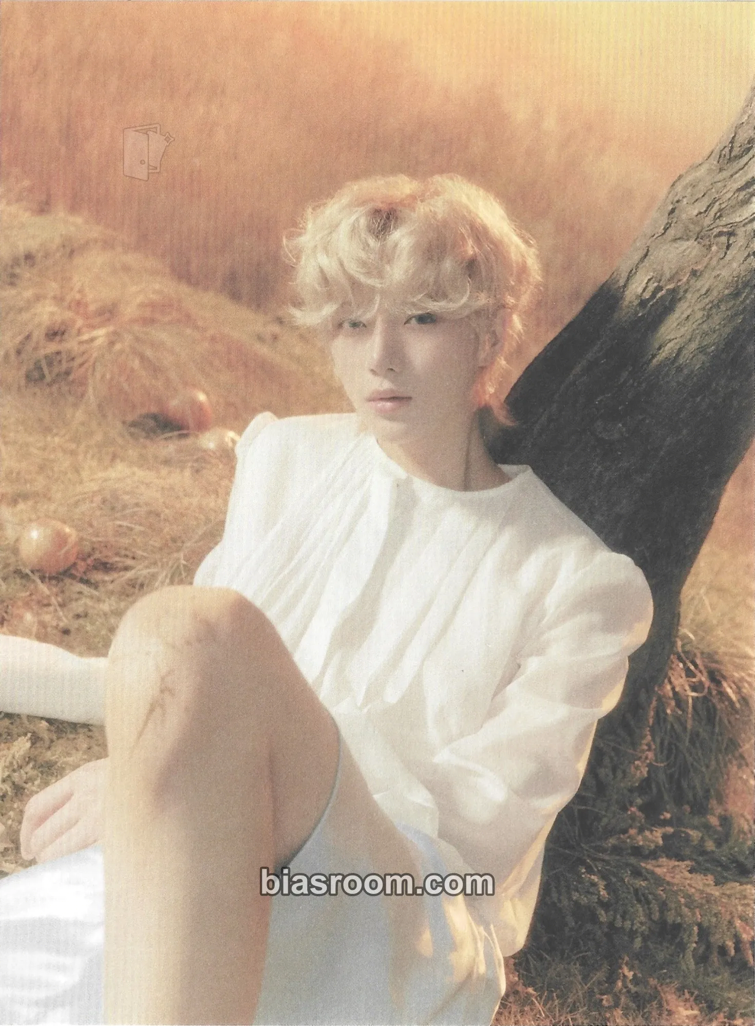 Beomgyu Minisode 3: Tomorrow Photocard - TOMORROW X TOGETHER - TOMORROW X TOGETHER K-pop photocard