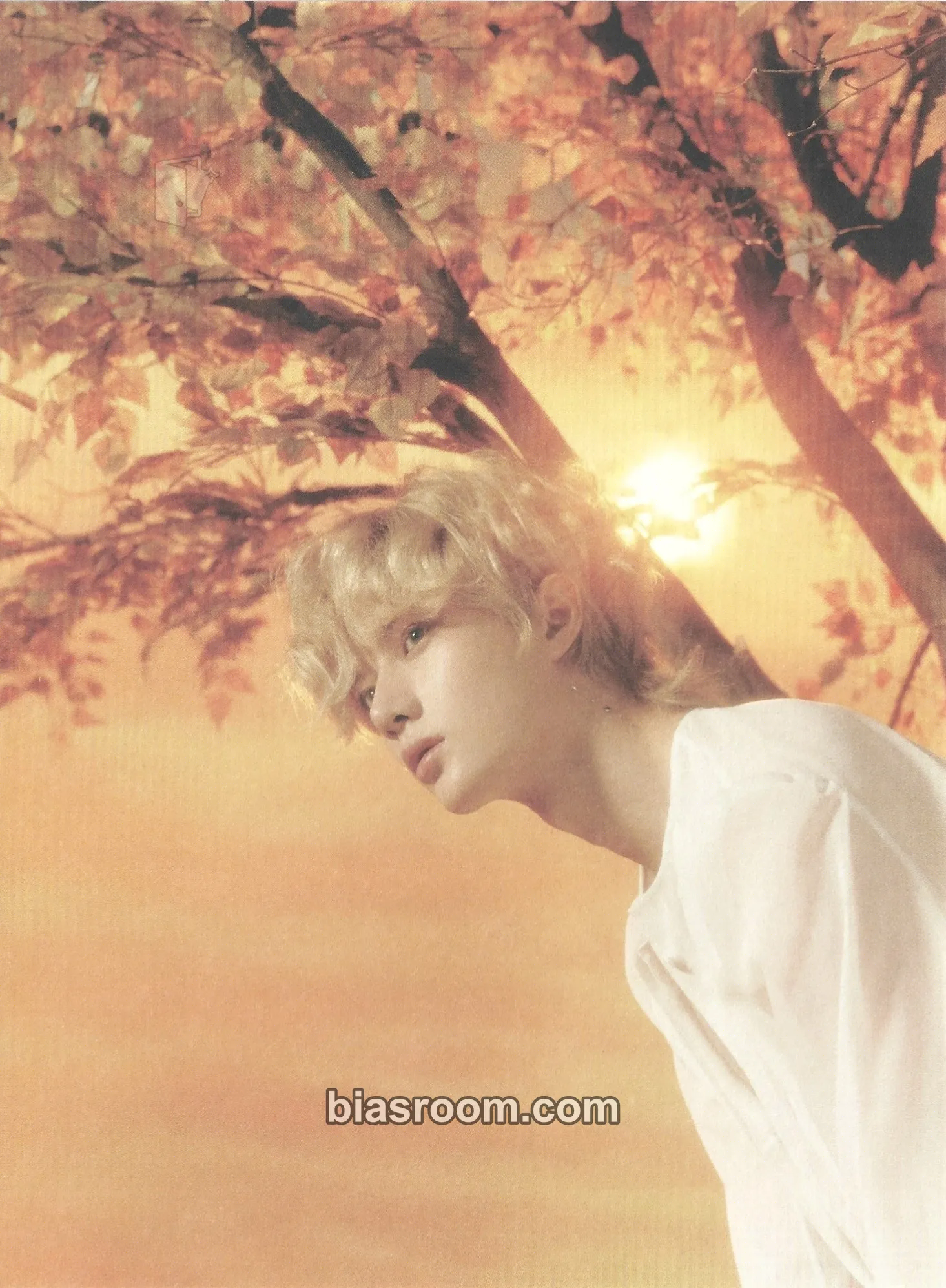 Beomgyu Minisode 3: Tomorrow Photocard - TOMORROW X TOGETHER - TOMORROW X TOGETHER K-pop photocard
