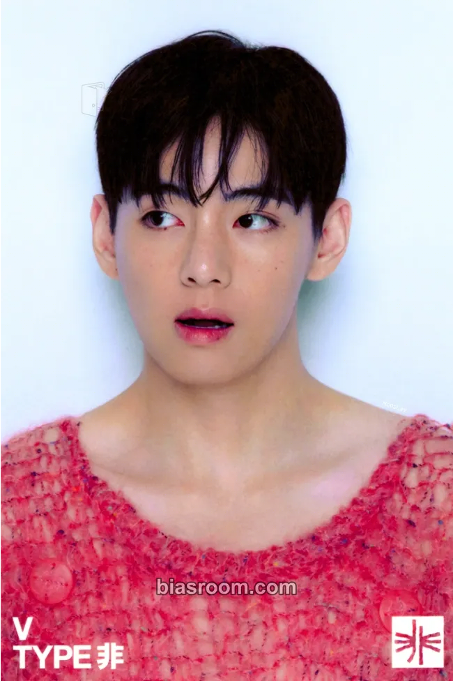 V V TYPE 非 Photobook & Poster Set Photocard - BTS - BTS K-pop photocard